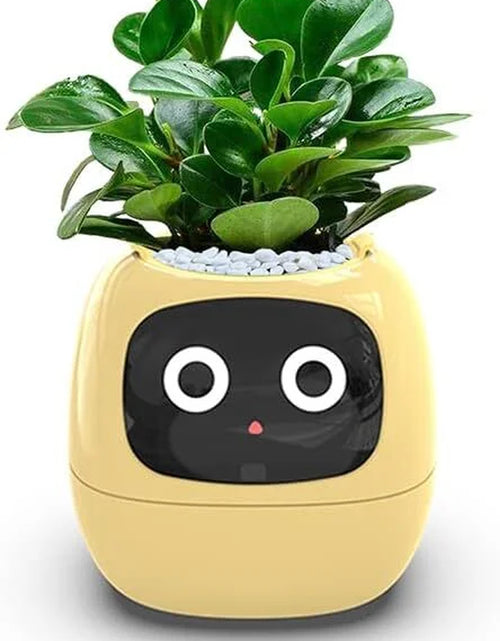 Load image into Gallery viewer, Smart Flowerpots, Electronic Pet Planter with Artificial Intelligence, Time Temperature Display, Guidance on Plant Care with Emojis, for Indoor Decoration
