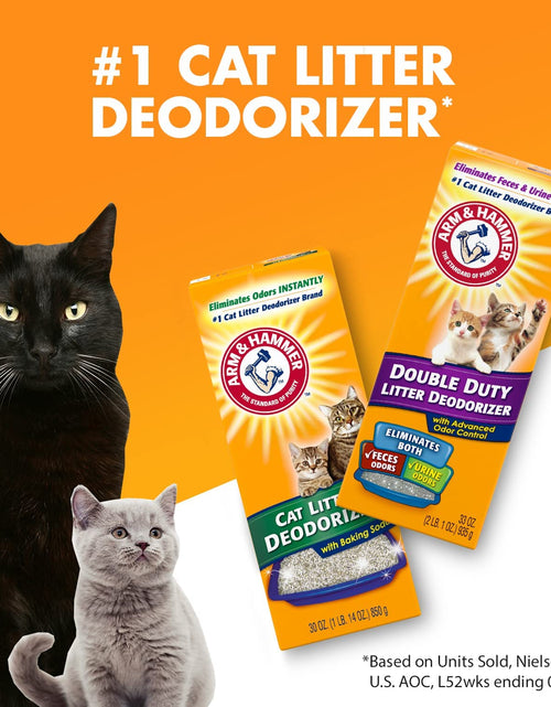 Load image into Gallery viewer, Cat Litter Deodorizer
