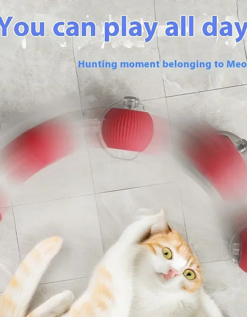 Load image into Gallery viewer, Electric Cat Ball Toys Automatic Rolling Ball Faux Tail Rechargeable Smart Pet Interactive Toy Dog Cat Training Imitate Mouse
