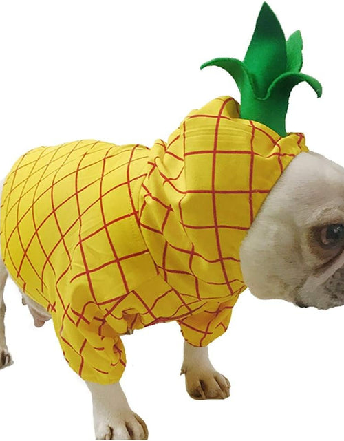 Load image into Gallery viewer, Pineapple Pet Costume, Halloween Pet Dogs Cosplay Coat for Party Christmas Special Events Costume
