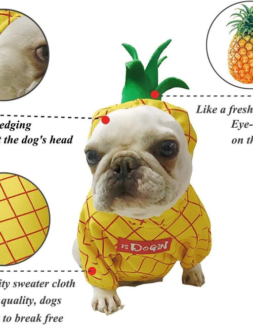 Load image into Gallery viewer, Pineapple Pet Costume, Halloween Pet Dogs Cosplay Coat for Party Christmas Special Events Costume
