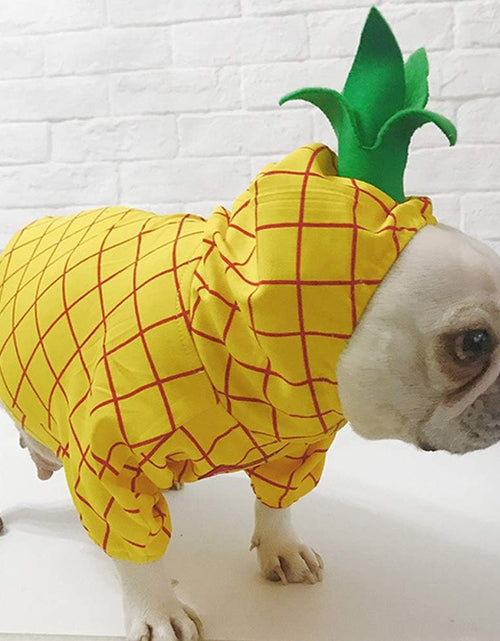 Load image into Gallery viewer, Pineapple Pet Costume, Halloween Pet Dogs Cosplay Coat for Party Christmas Special Events Costume
