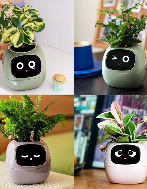 Load image into Gallery viewer, Smart Flowerpots, Electronic Pet Planter with Artificial Intelligence, Time Temperature Display, Guidance on Plant Care with Emojis, for Indoor Decoration
