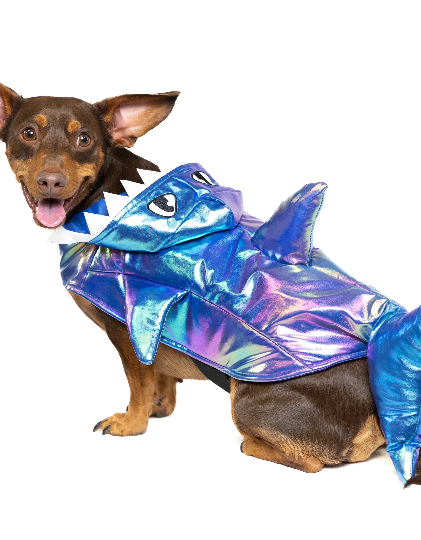 Halloween Dog Costume and Cat Costume: Shark, Size Medium