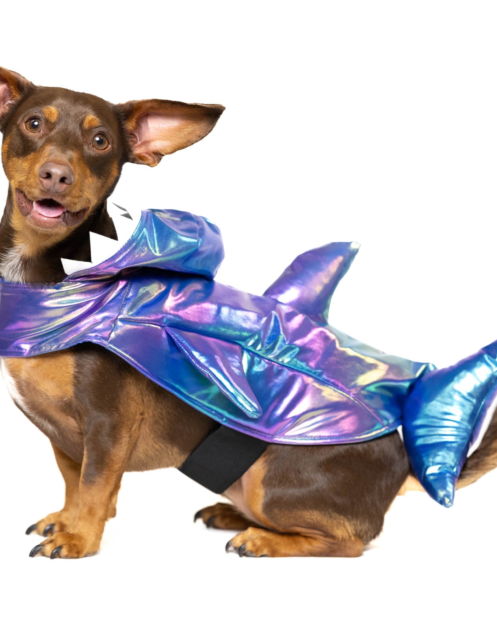 Halloween Dog Costume and Cat Costume: Shark, Size Medium