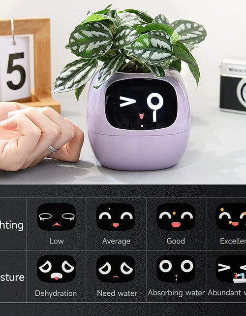 Load image into Gallery viewer, Smart Flowerpots, Electronic Pet Planter with Artificial Intelligence, Time Temperature Display, Guidance on Plant Care with Emojis, for Indoor Decoration
